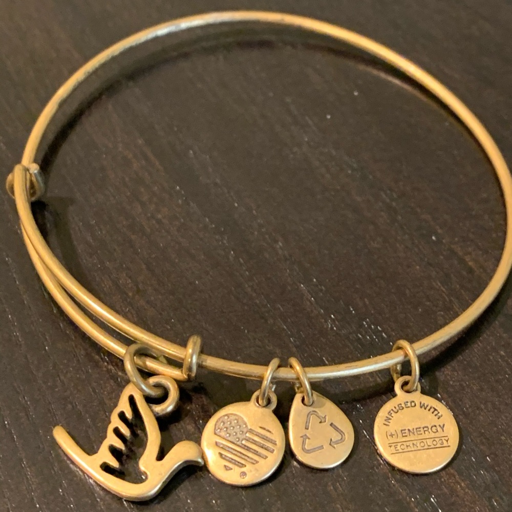 Alex and Ani dove charm bracelet.